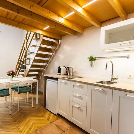 Apartment Vintage Szpitalna
